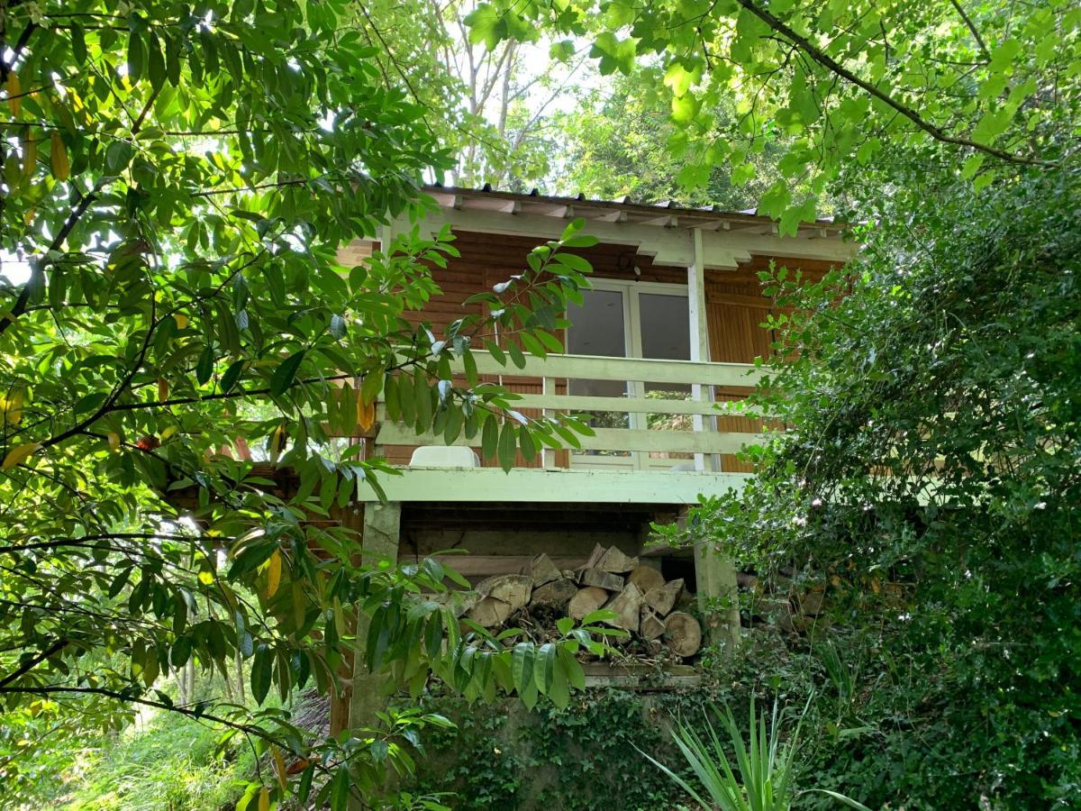 فيلا Le Coudray-Montceauxفي Chalet En Bord De Seine المظهر الخارجي الصورة